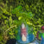 Small image 5