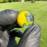 Small image 3