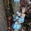 Small image 6
