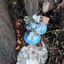 Small image 7