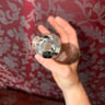 Small image 2