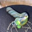 Small image 2