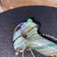 Small image 4