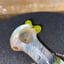 Small image 5