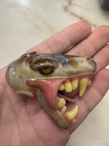 Preview pic of Elbo Open Mouth Pendant