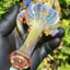 Small image 9