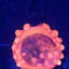 Small image 6