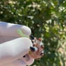 Small image 4