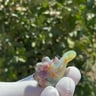 Small image 5