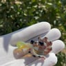 Small image 3
