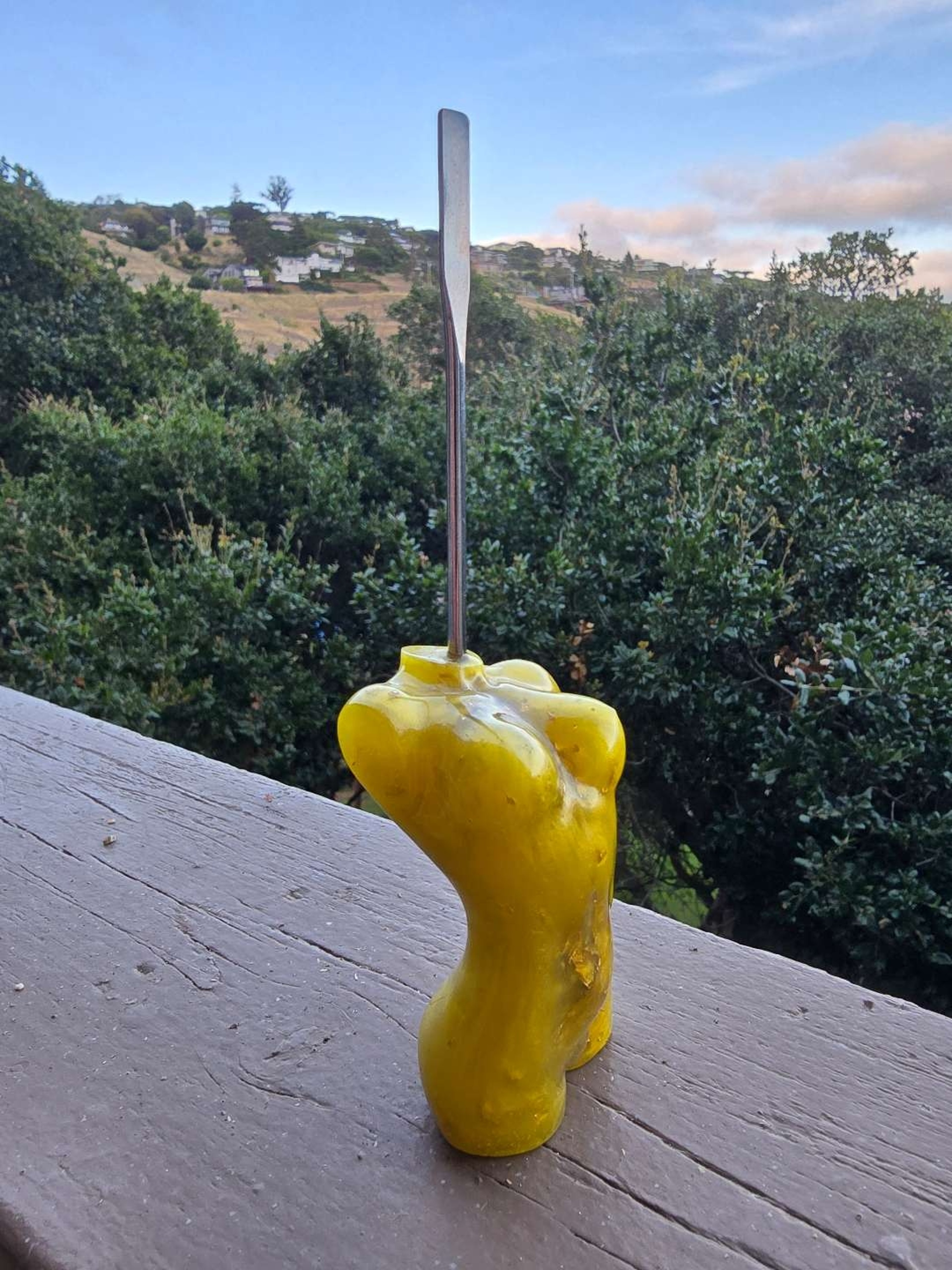 Stupid Sexy Dabber image 0