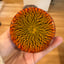 Small image 7