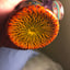 Small image 8