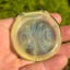 Small image 9