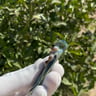Small image 3