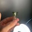 Small image 5