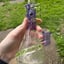 Small image 7
