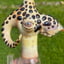 Small image 5