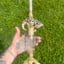 Small image 6