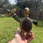 Small image 2