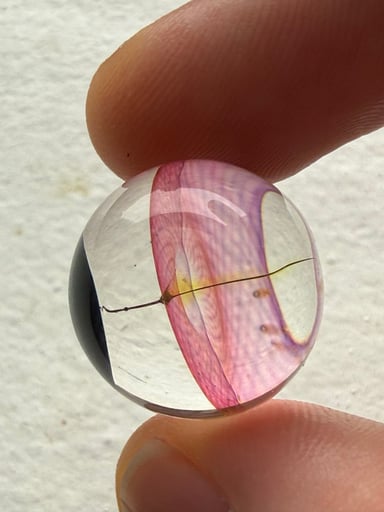 Preview pic of kmace Slurper Marble