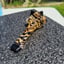 Small image 6