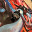 Small image 5