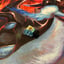 Small image 5