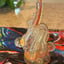 Small image 8