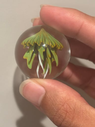 Preview pic of Kobuki jellyfish marble
