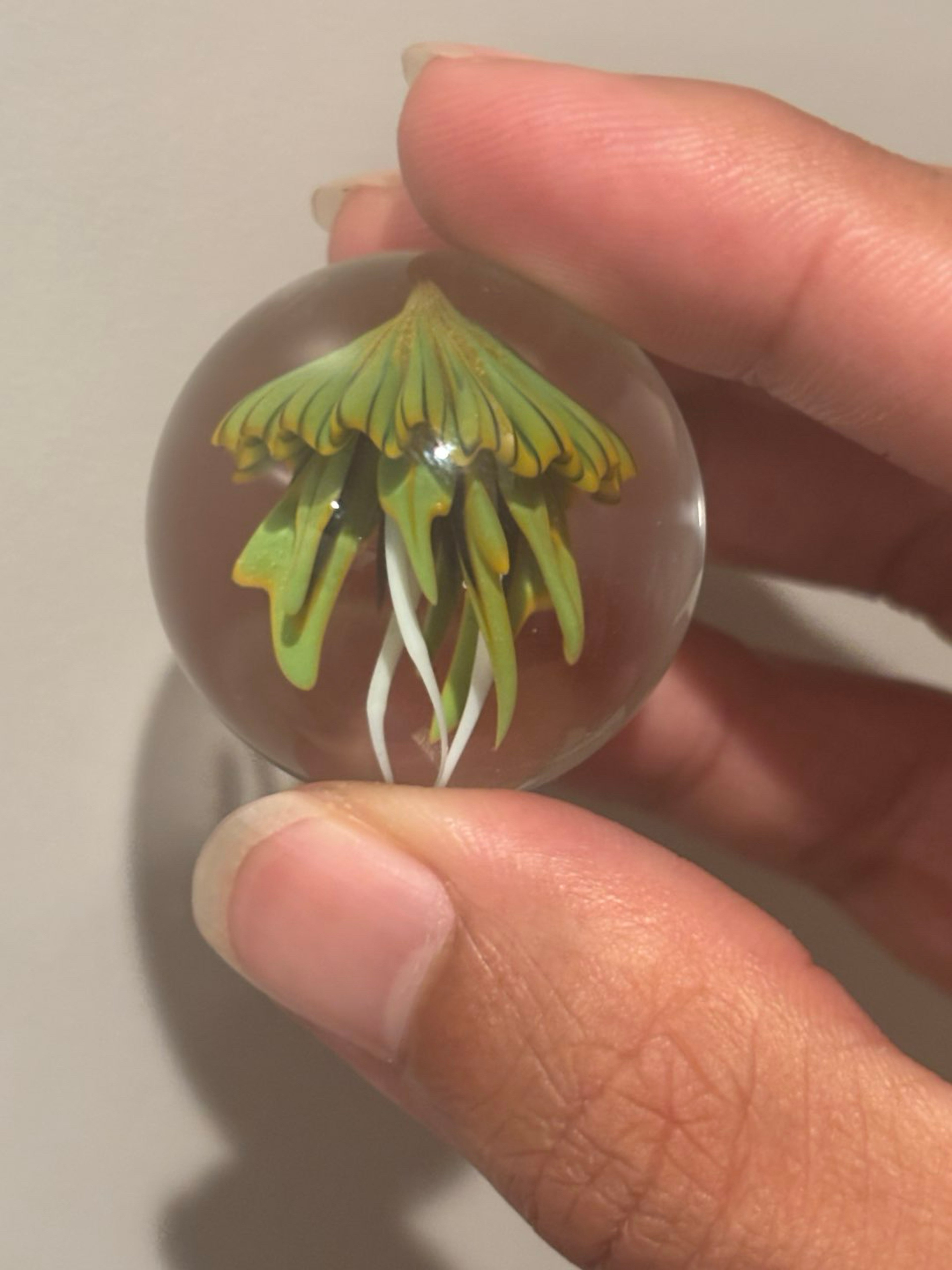 Preview pic of Kobuki jellyfish marble