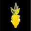 Small image 7