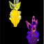 Small image 6