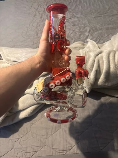 Preview pic of Cheech Red squid