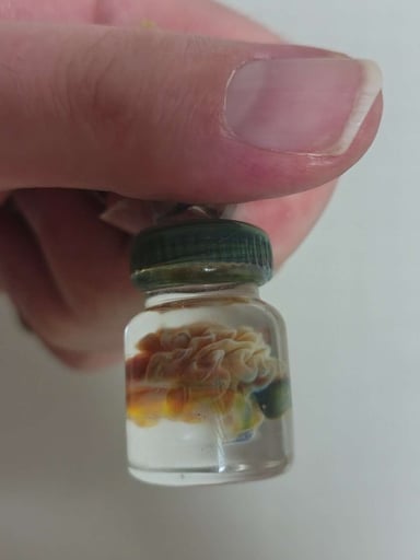 Preview pic of Brain in a Jar Pendant