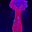 Small image 6