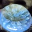 Small image 6