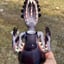 Small image 6
