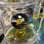 Small image 9