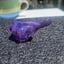 Small image 6