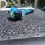 Small image 5