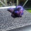 Small image 4