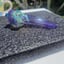 Small image 6