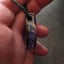 Small image 7