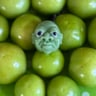 Small image 1