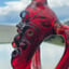 Small image 6