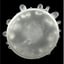 Small image 5