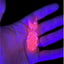 Small image 6