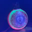Small image 6