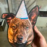 Small image 1